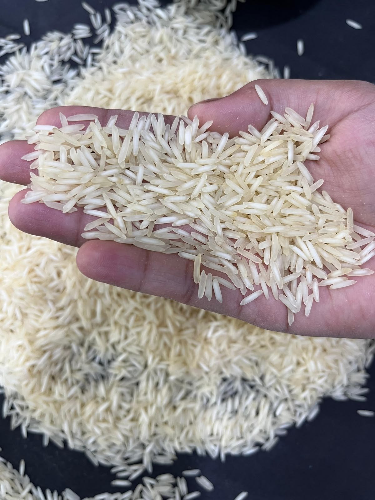 Raw Basmati Rice