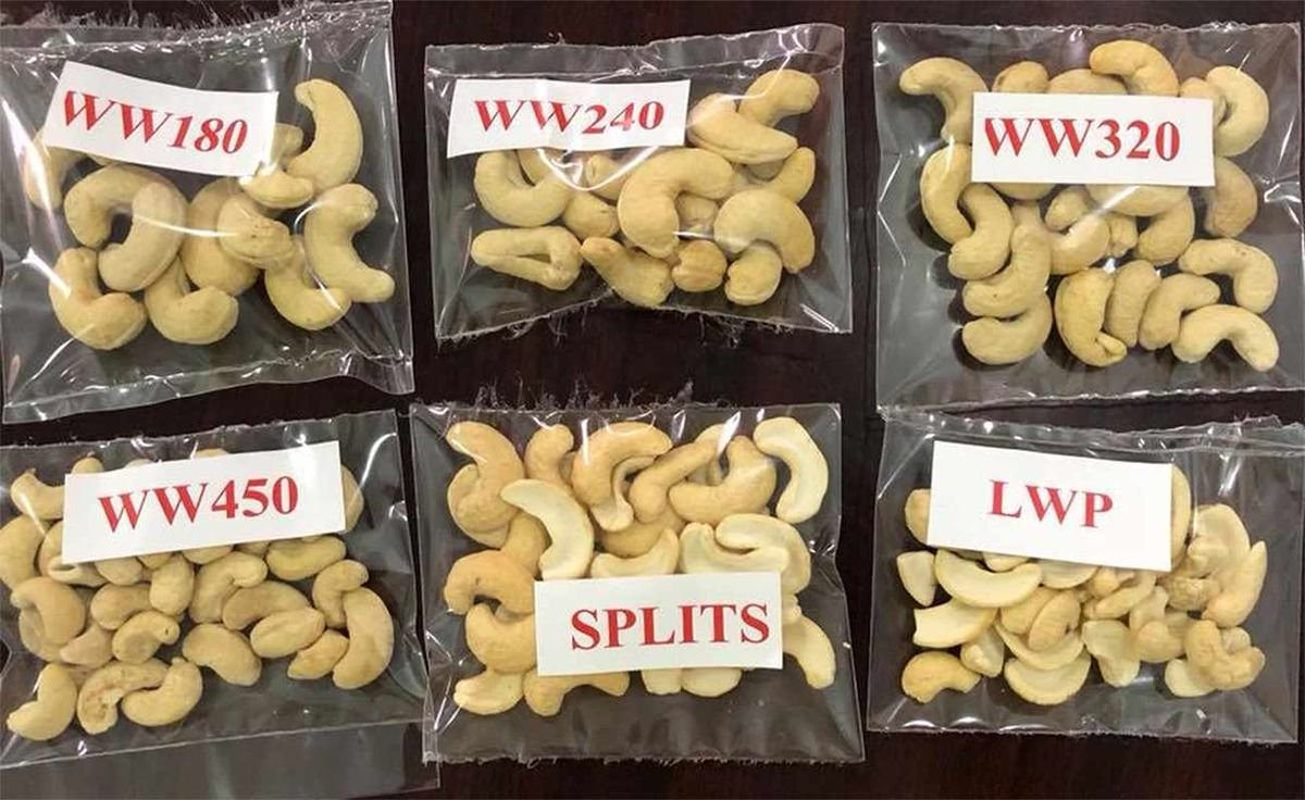 Cashew Nuts (WW180, WW210, WW240, WW320)